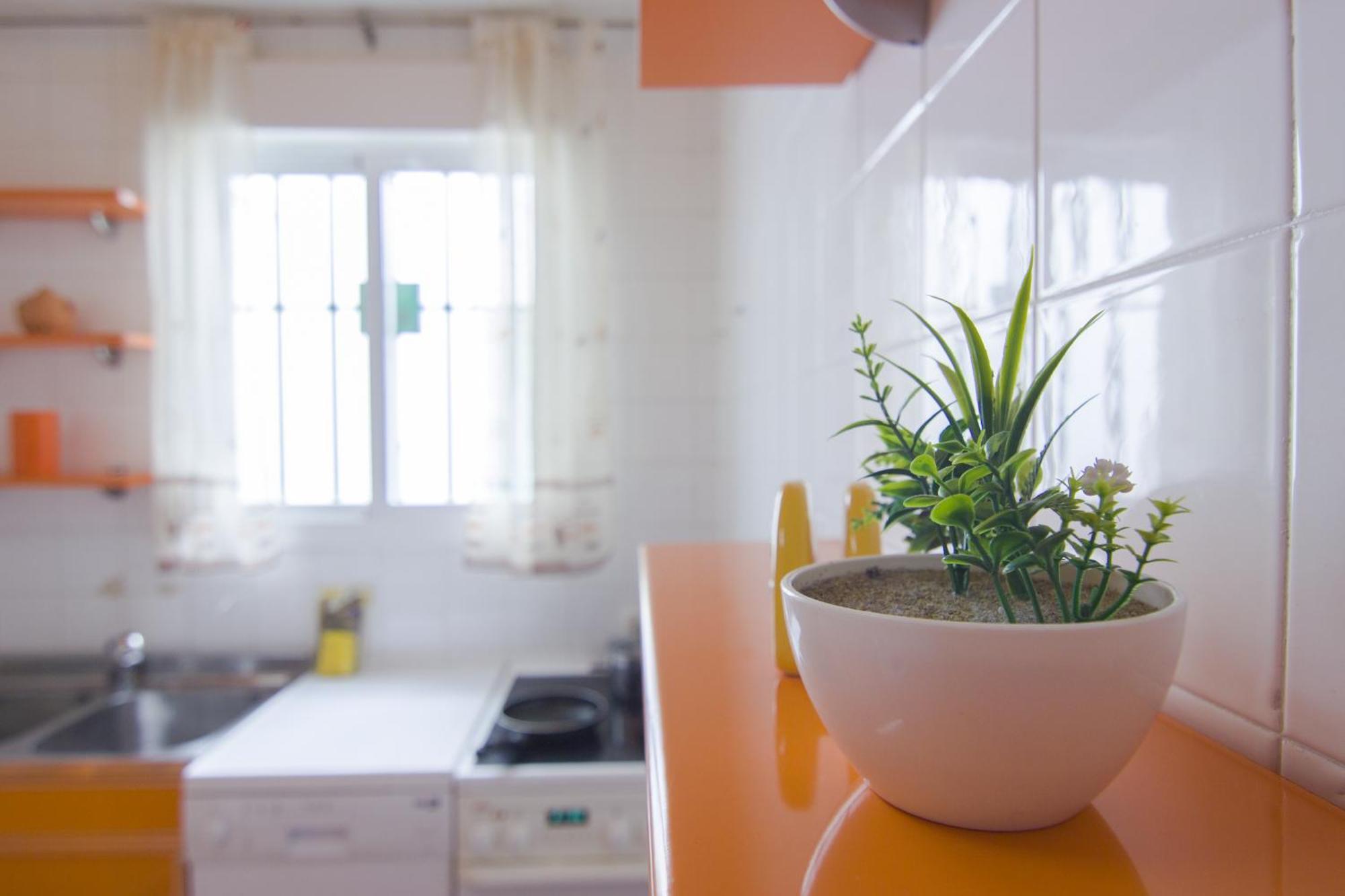 Rentalsevilla Buiza Y Mensaque ภายนอก รูปภาพ